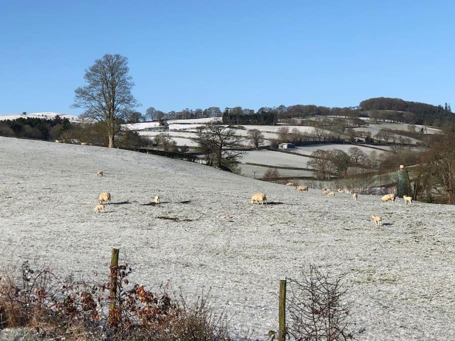 5F Stanley Lodge, Caer Beris, Builth Wells - No Tradesman 外观 照片